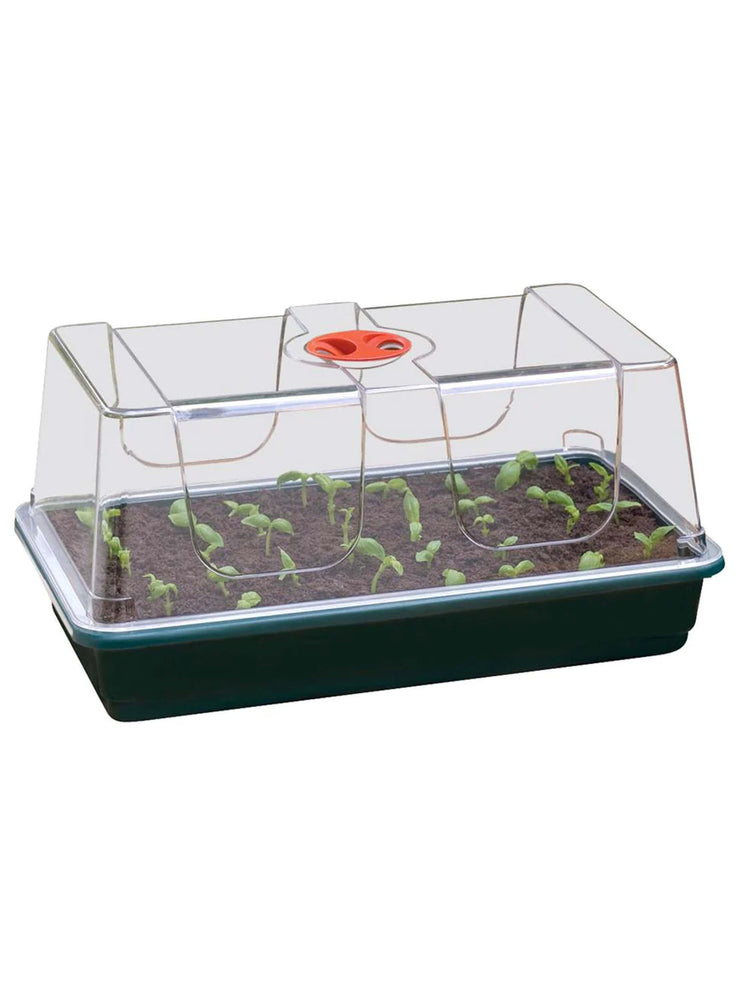 Large High Dome Propagator