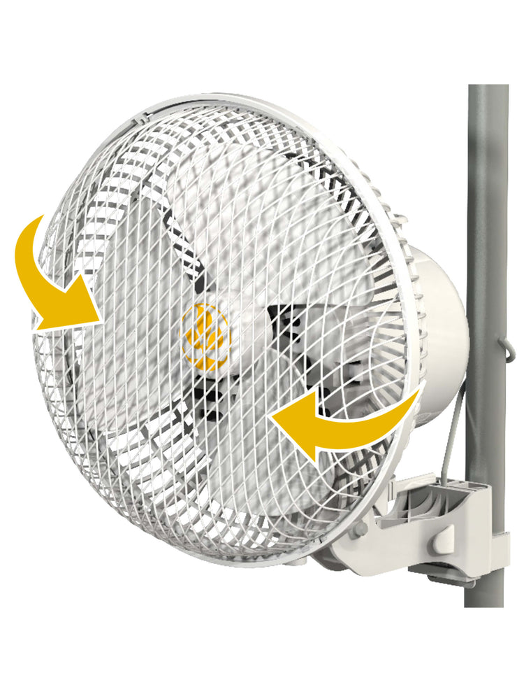 Monkey Fan 20W Oscillating